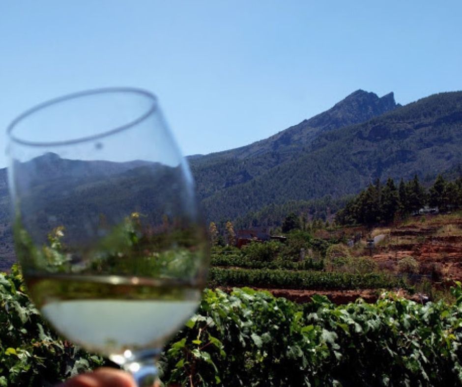 Descubriendo LOCARTAS de Bodega Hermanos Mesa